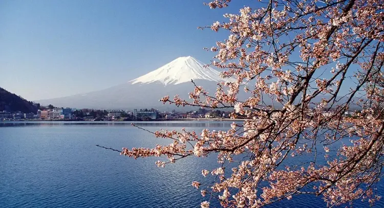 How Do Mitsubishi Electric Systems Reduce My Carbon Footprint? tree water landscape cherry lake sky snow park nature branch winter outdoors mountain travel season flower scenic dawn city